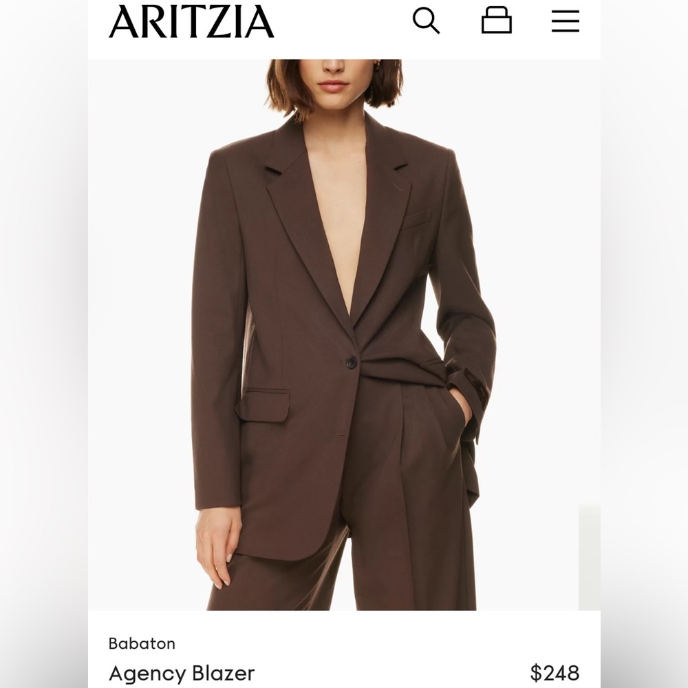 Aritzia Blazer